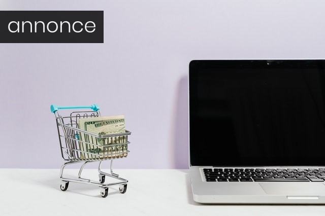 Det kræver sit at drive en webshop